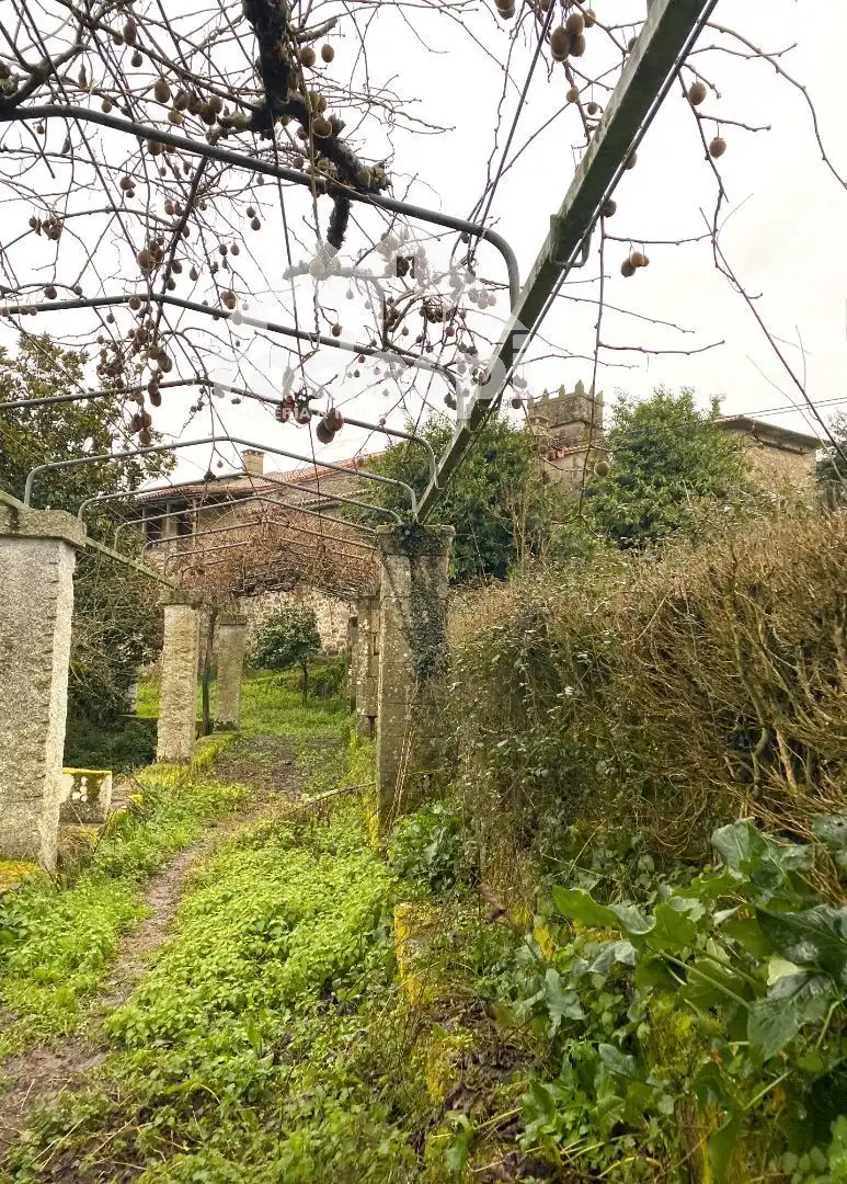 Buildings for sale in Pantón