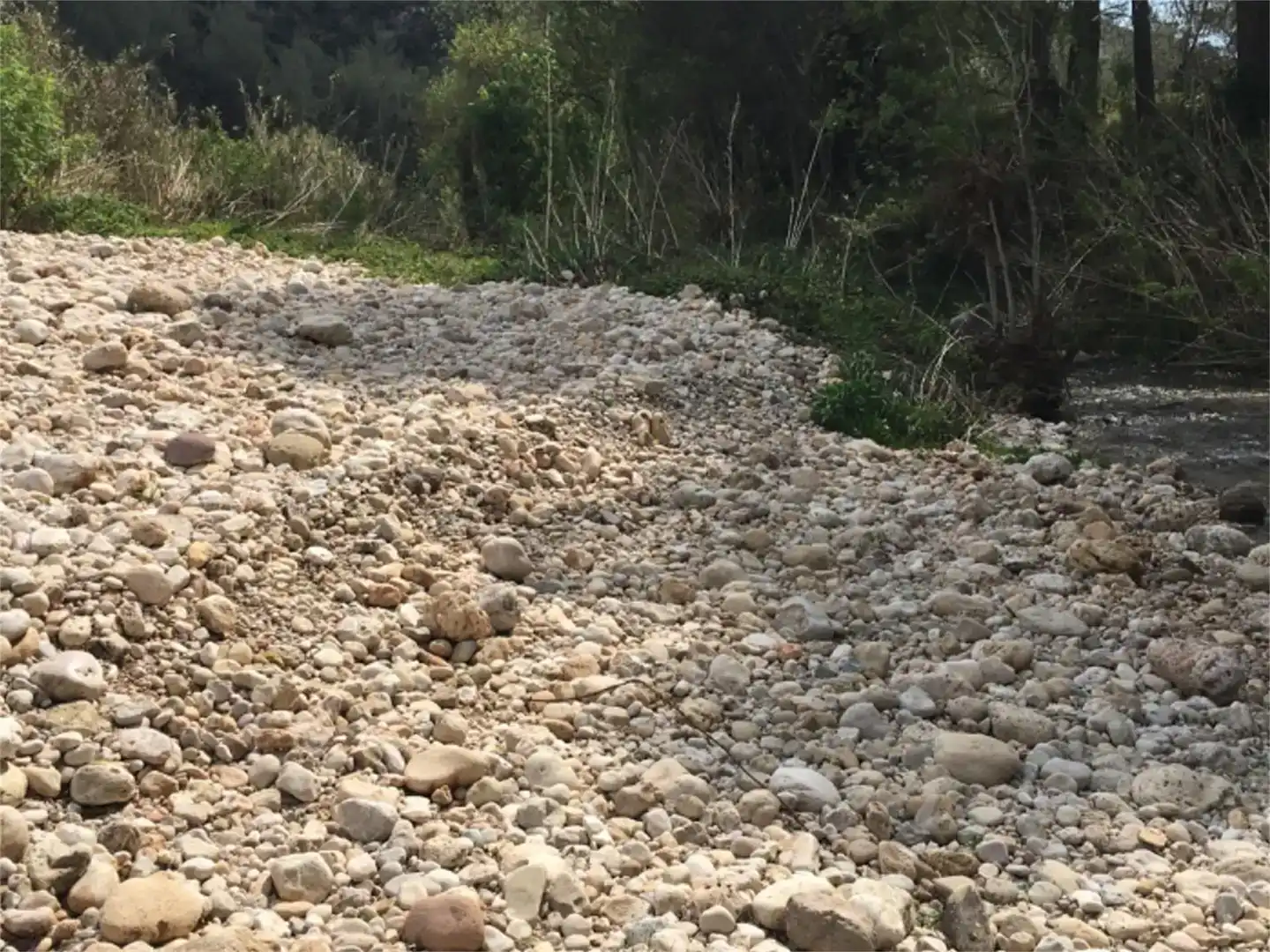 Vista exterior de Finca rústica en venda en Salomó