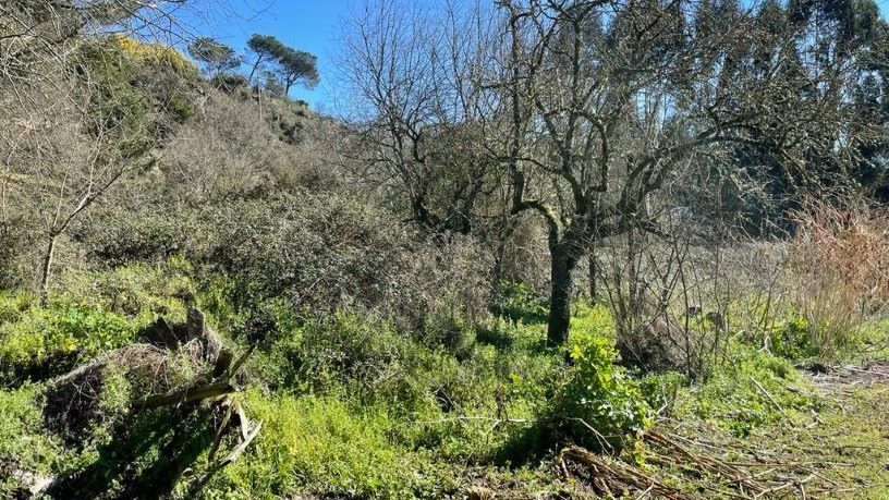 Industrial land for sale in Ourense Capital 