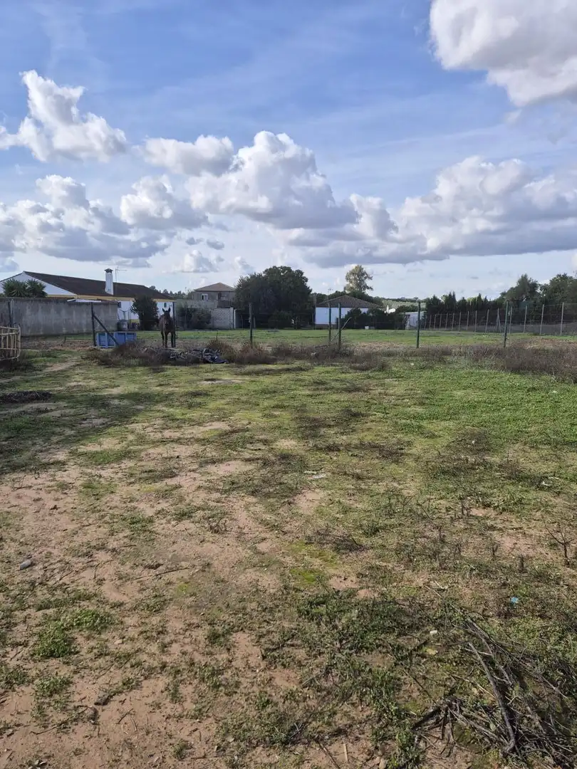 Finca rústica en venda en La Puebla del Río