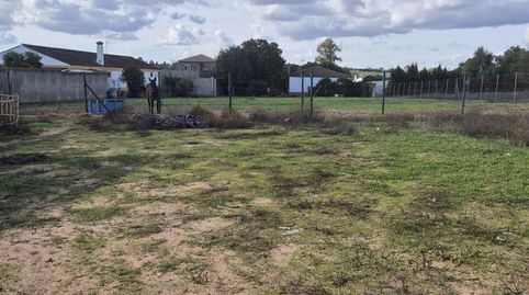 Foto 5 de Finca rústica en venda a La Puebla del Río, Sevilla
