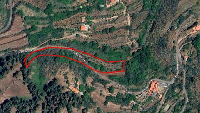 Terreno en Venta en Vega de San Mateo