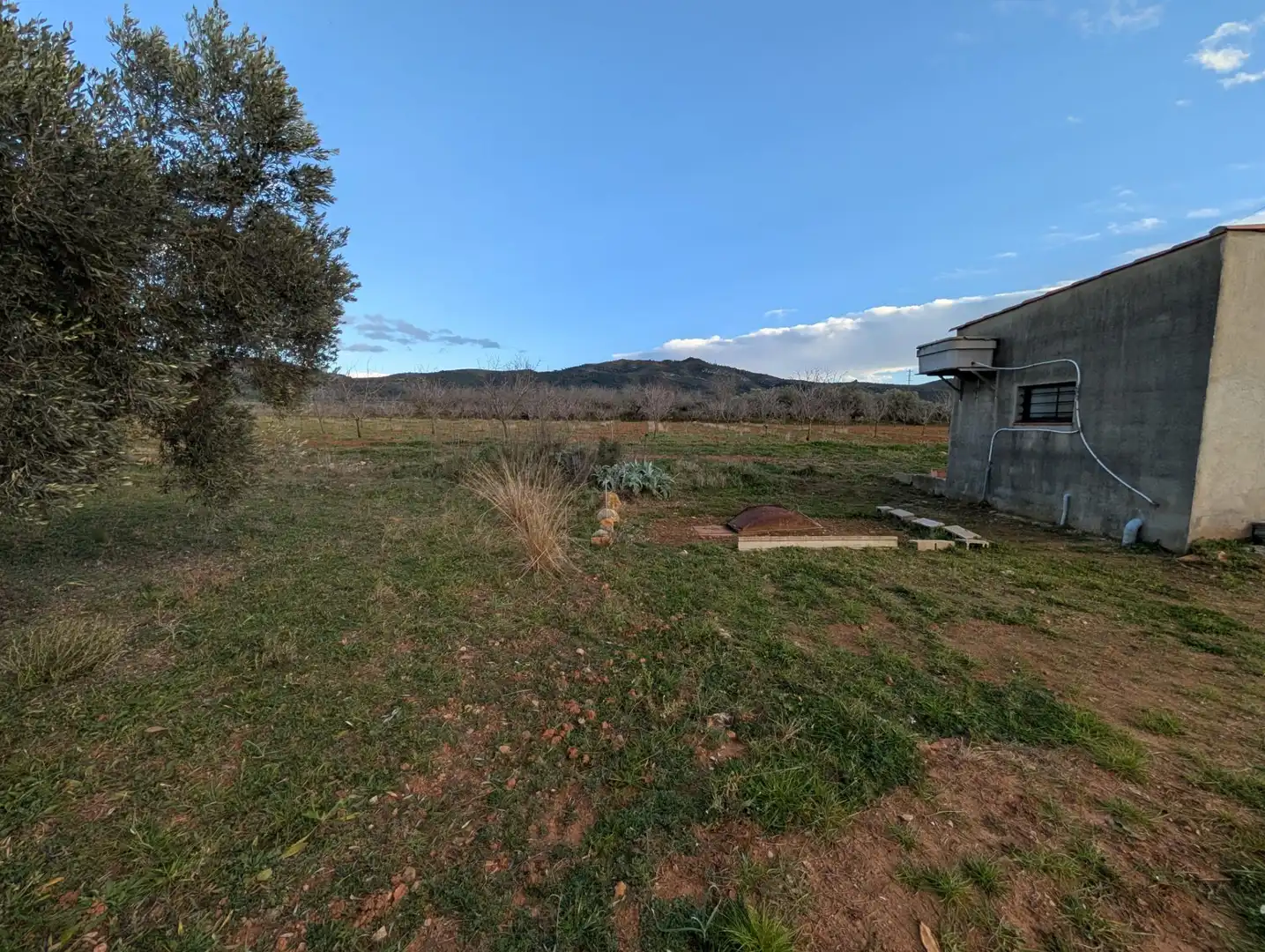 Terreno rustico in vendita a Ulldecona, imagen 19