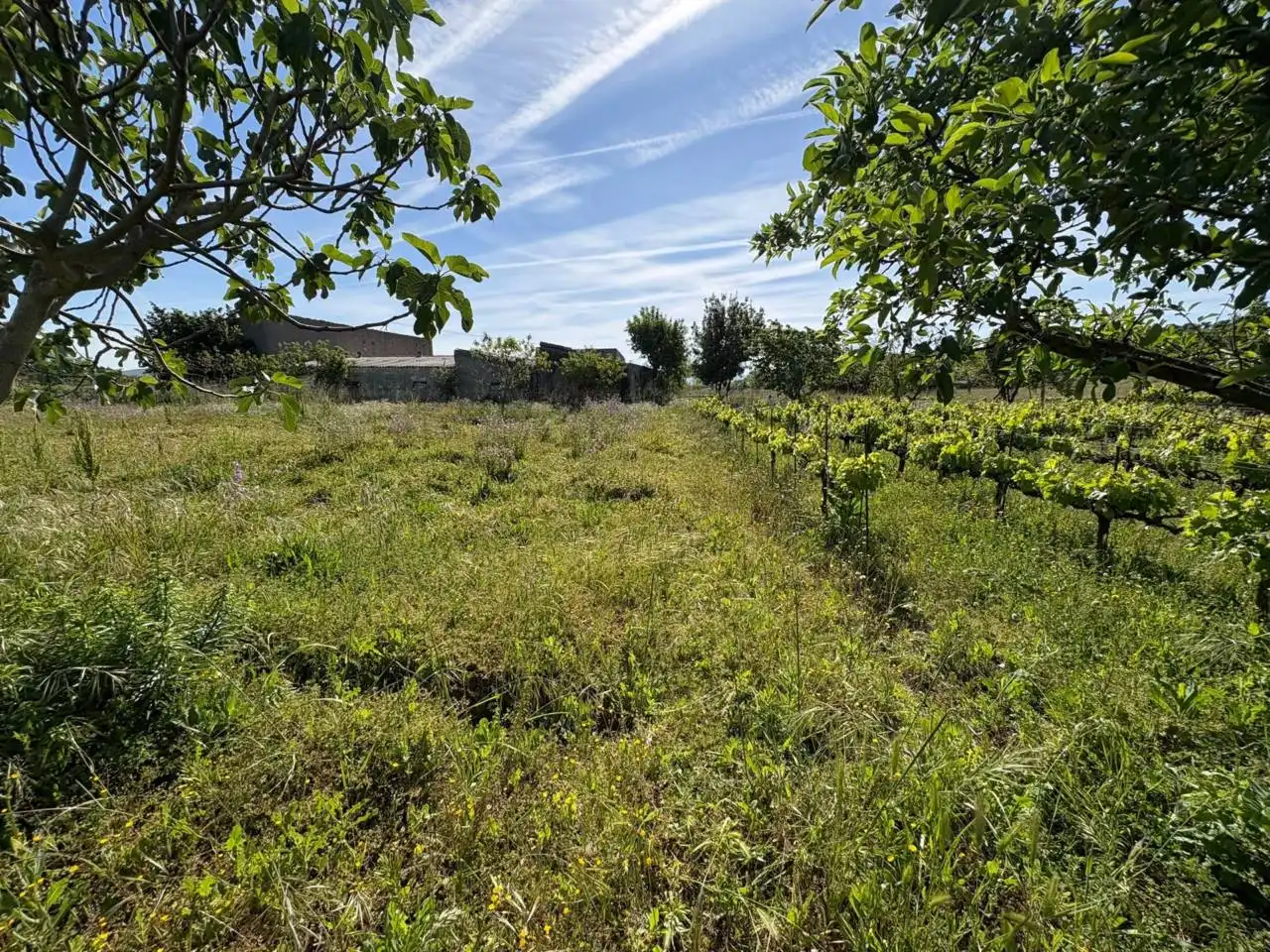 Terreno residenziale in vendita a Ciudad Rodrigo, imagen 18