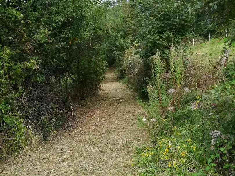 Casa rústica amb jardí en venda a Aldea la Encrucijada 4, imagen 29