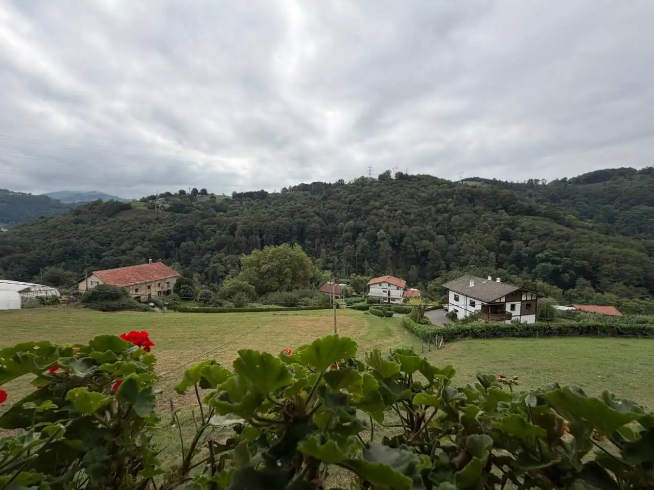Garden of Houses for sale in Hernialde  with Private garden, Terrace and Furnished
