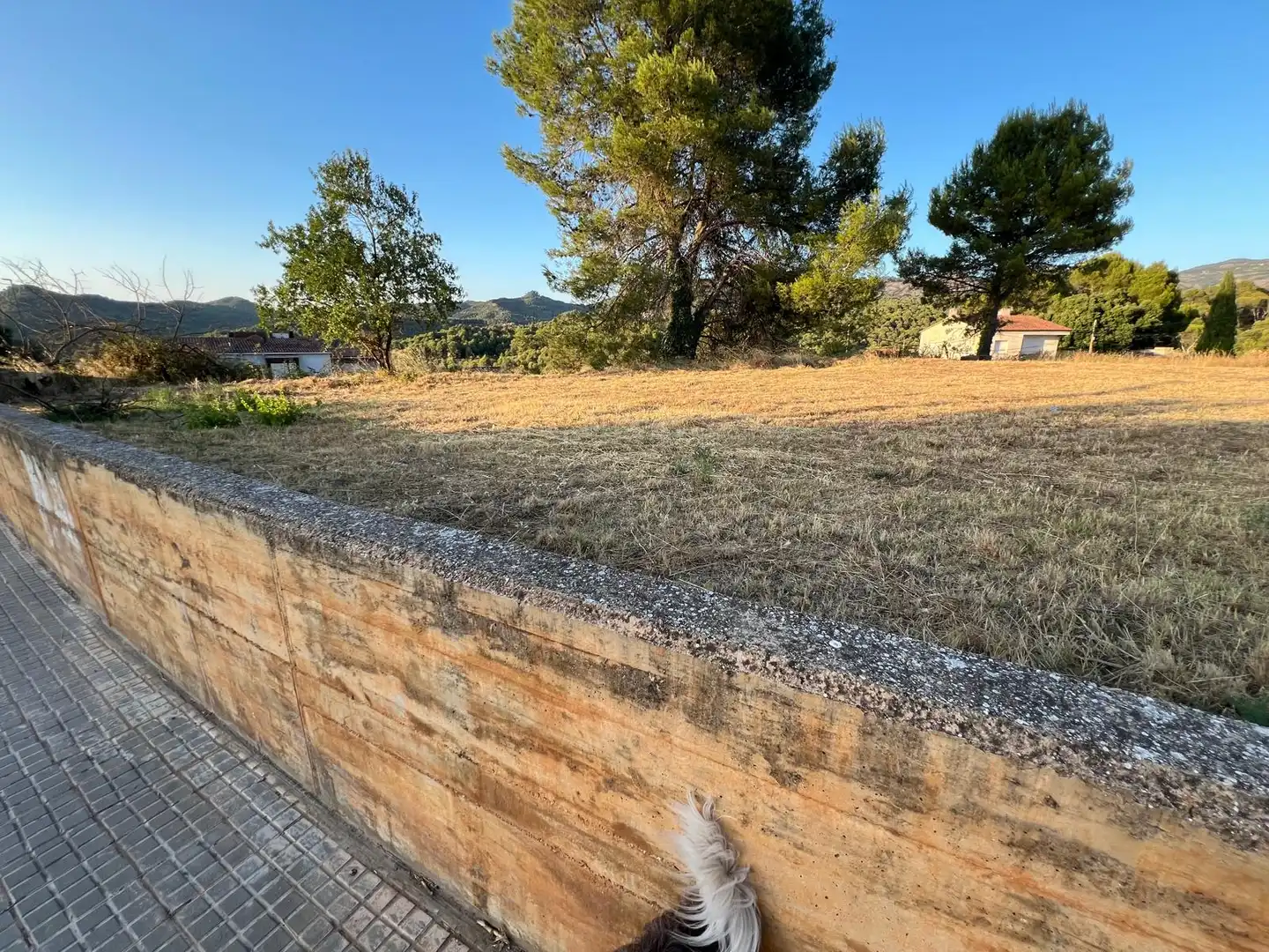 Terreno residencial en venta en Rellinars, imagen 3