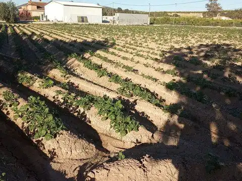Terreny residencial en venda a Desamparados - Hurchillo - Torremendo, imagen 10