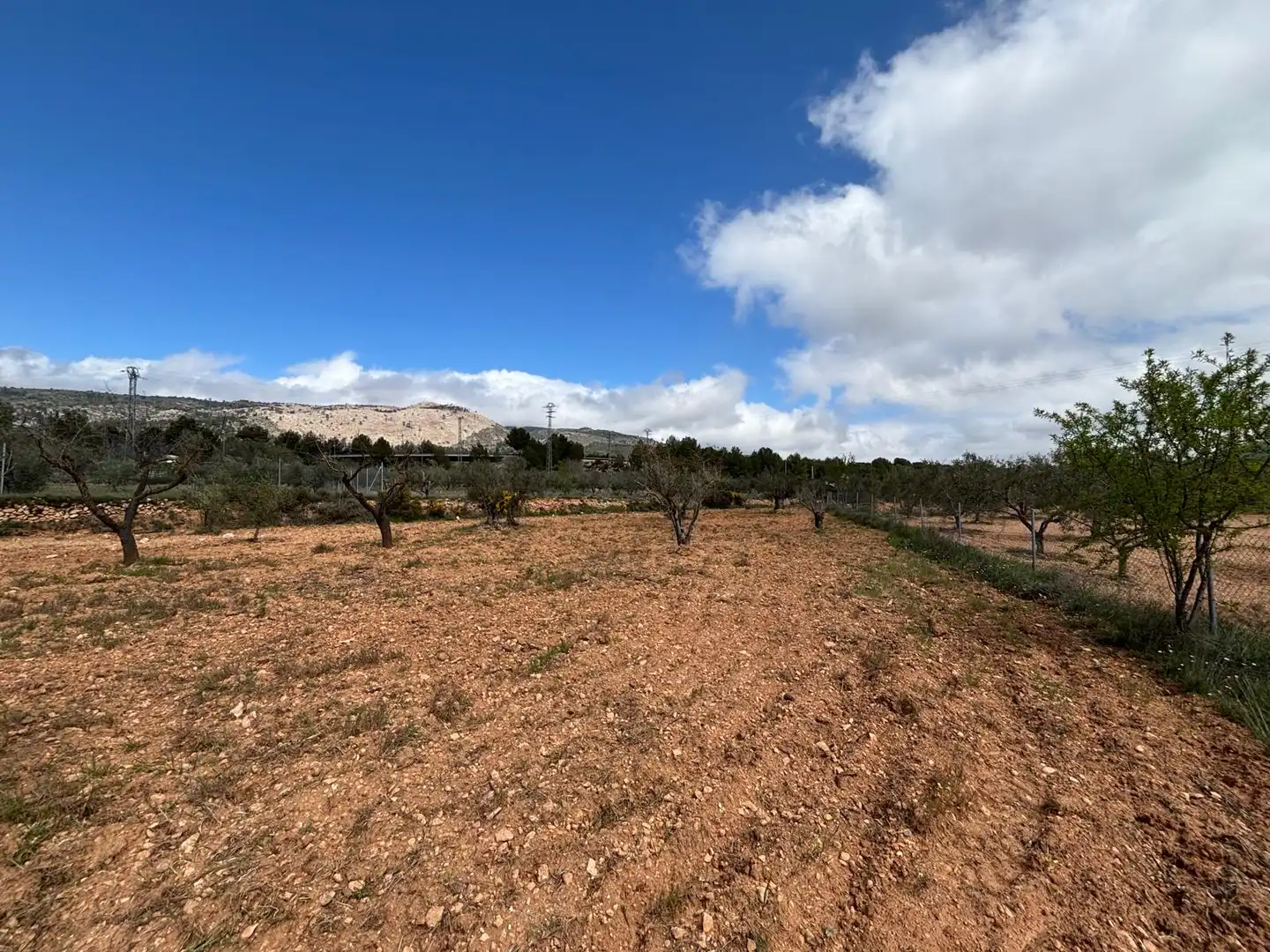 Terreno rústico en venta en CV-806, imagen 13