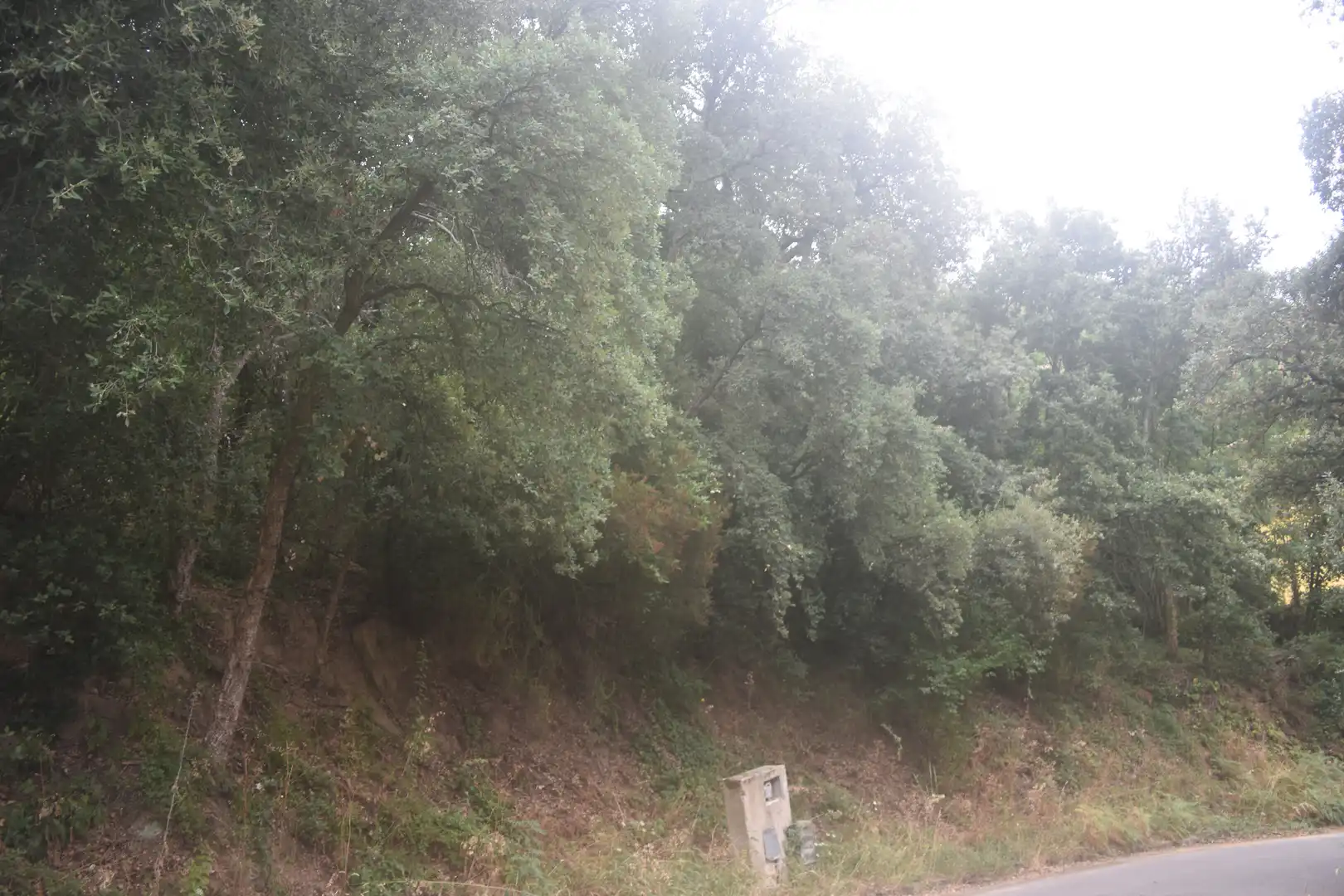 Residential for sale in Arbúcies