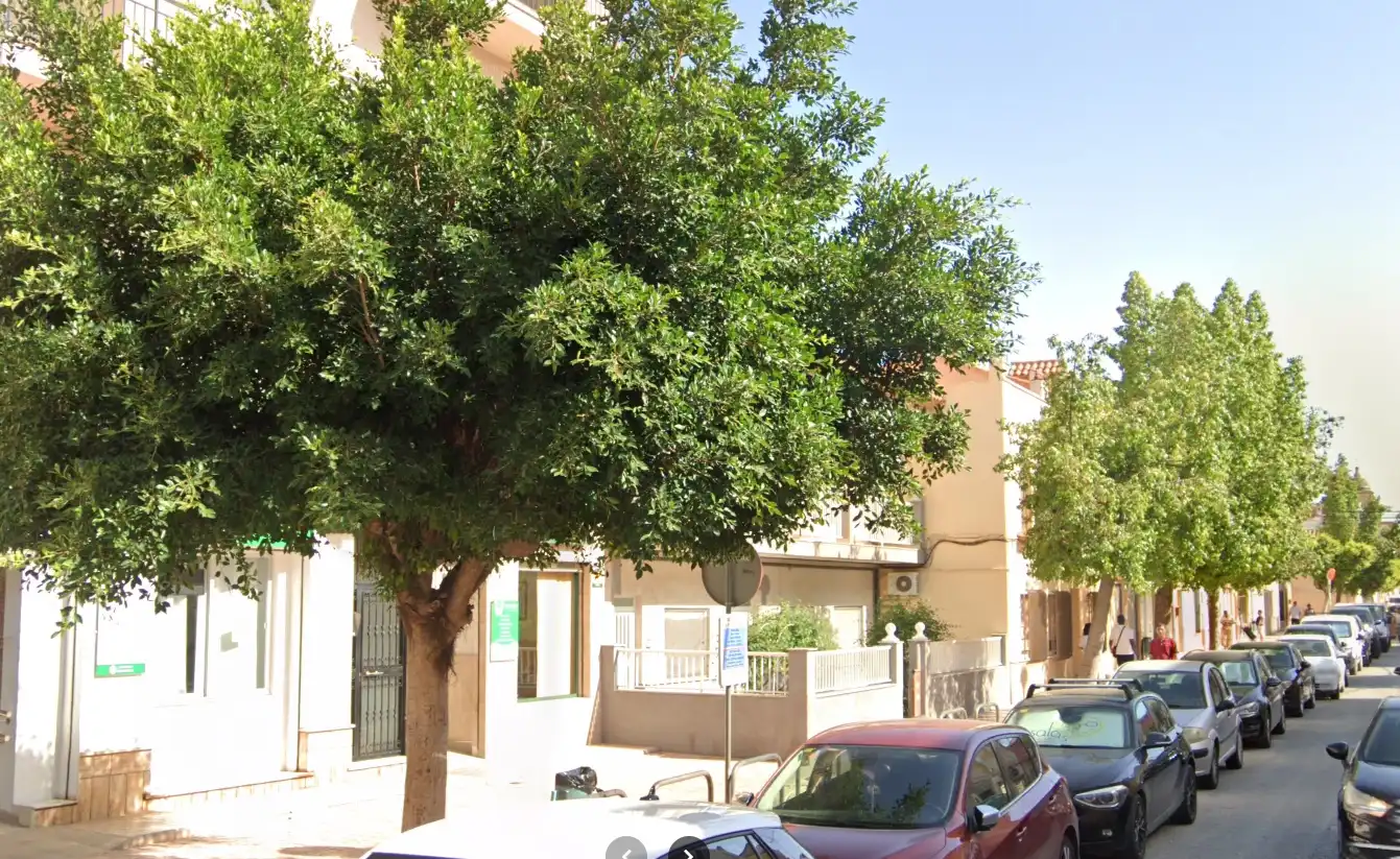 Maison à vendre à ANDALUCIA, imagen 3