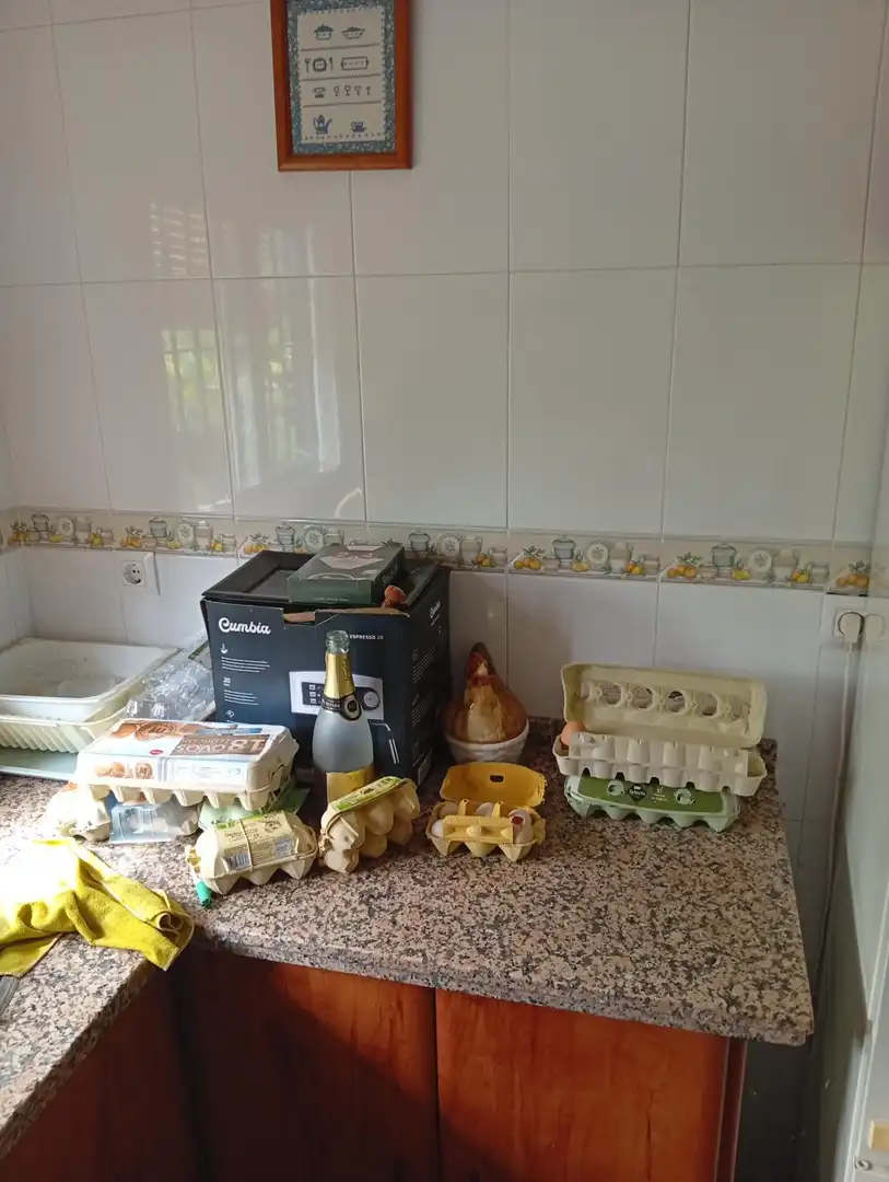 Villa avec jardin à vendre à Ayamonte ciudad, imagen 41