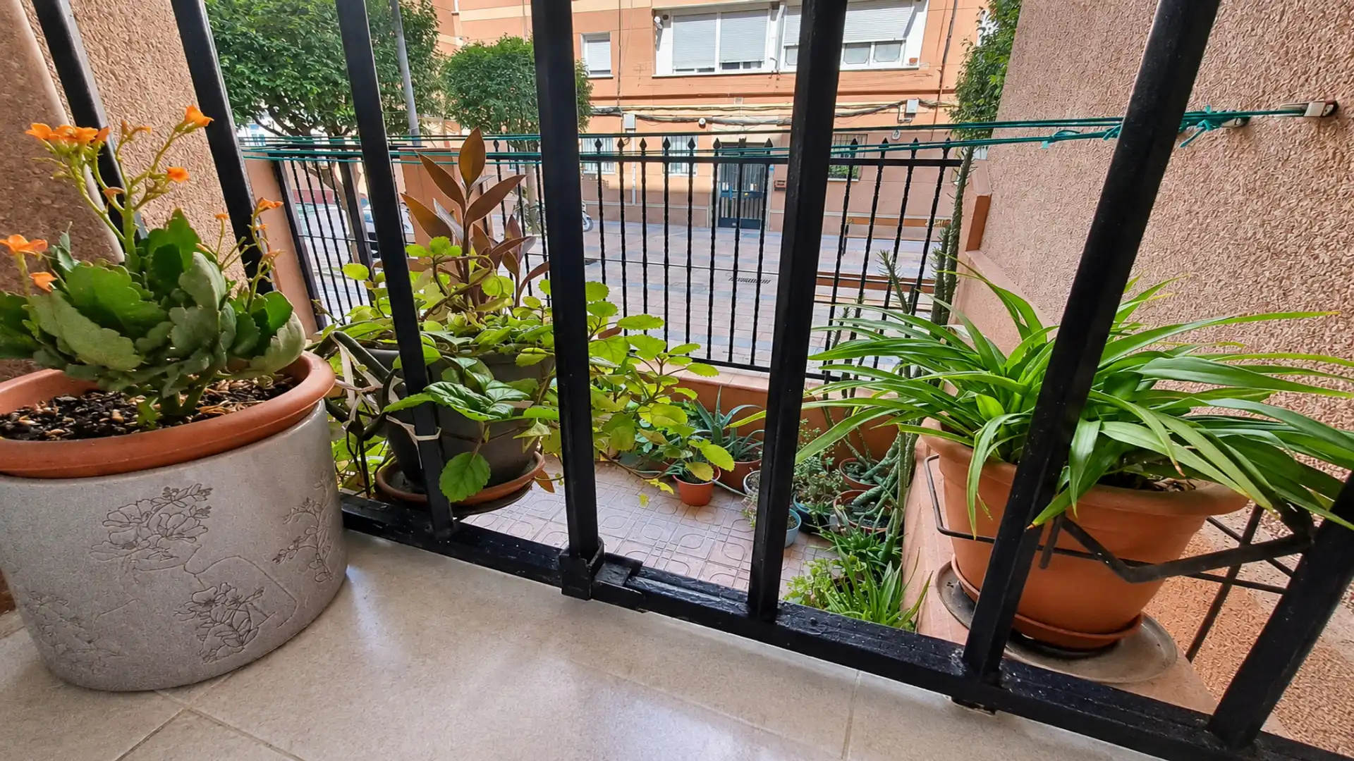Terraza de Planta baja en venta en Universidad