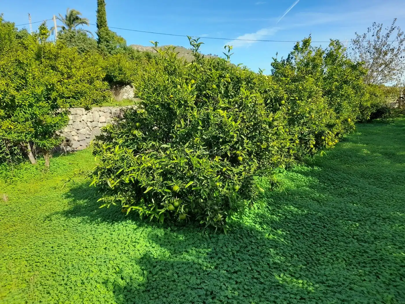 Maison rustique avec piscine à vendre à Carrer de Sant Roc 51, imagen 5