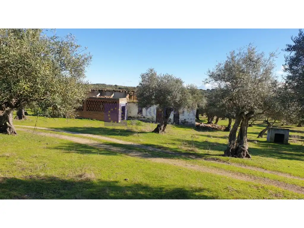Houses for sale in Diseminados S Miguel, Alcántara