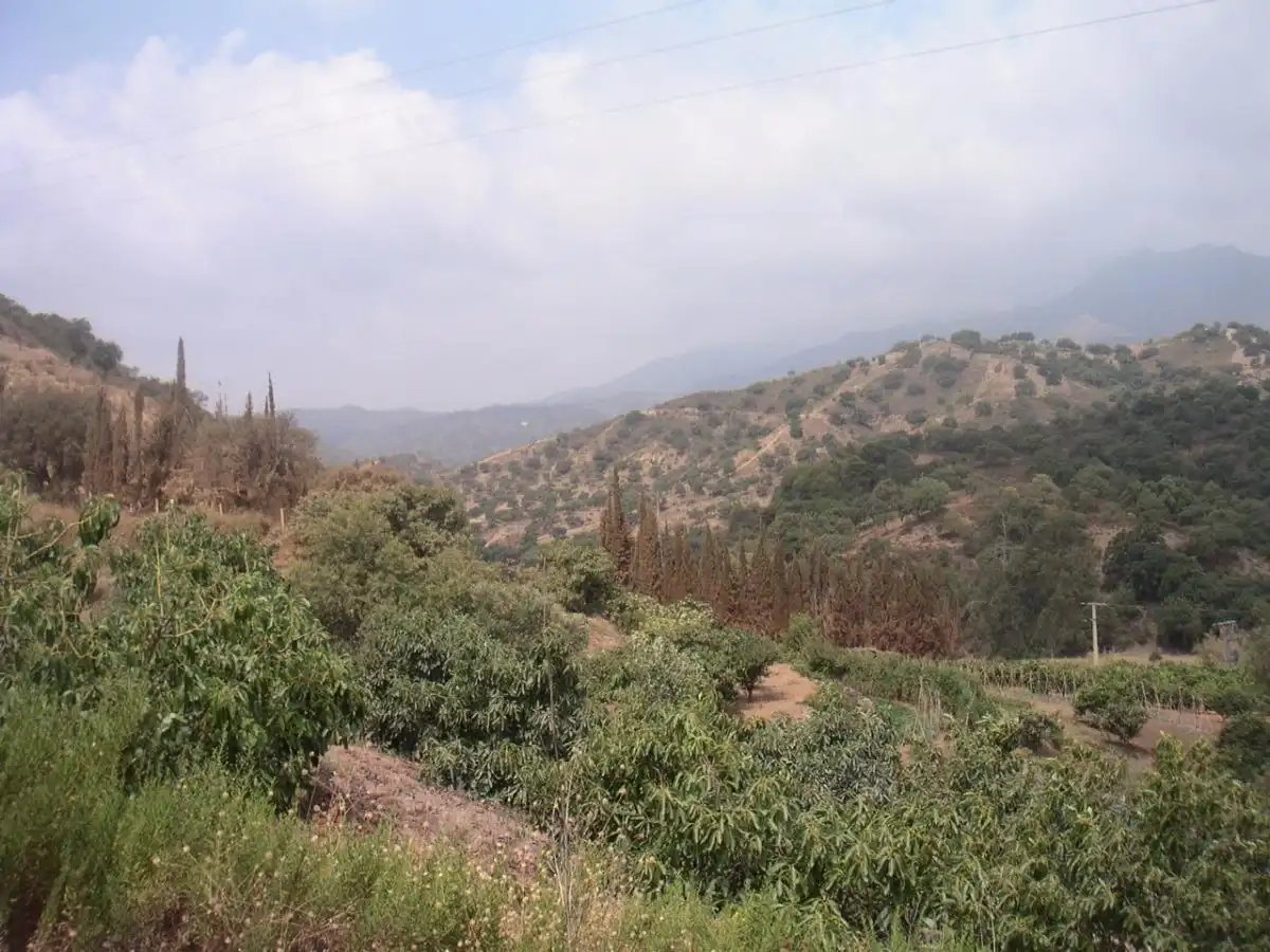 Terreni e lotti in vendita a Valtocado - La Alquería - La Atalaya, imagen 2