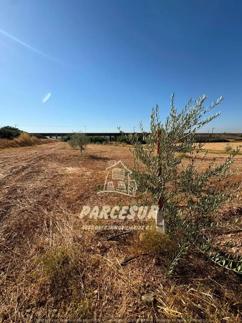 Terreno rustico in vendita a Periurbano Oeste - Sierra, imagen 9