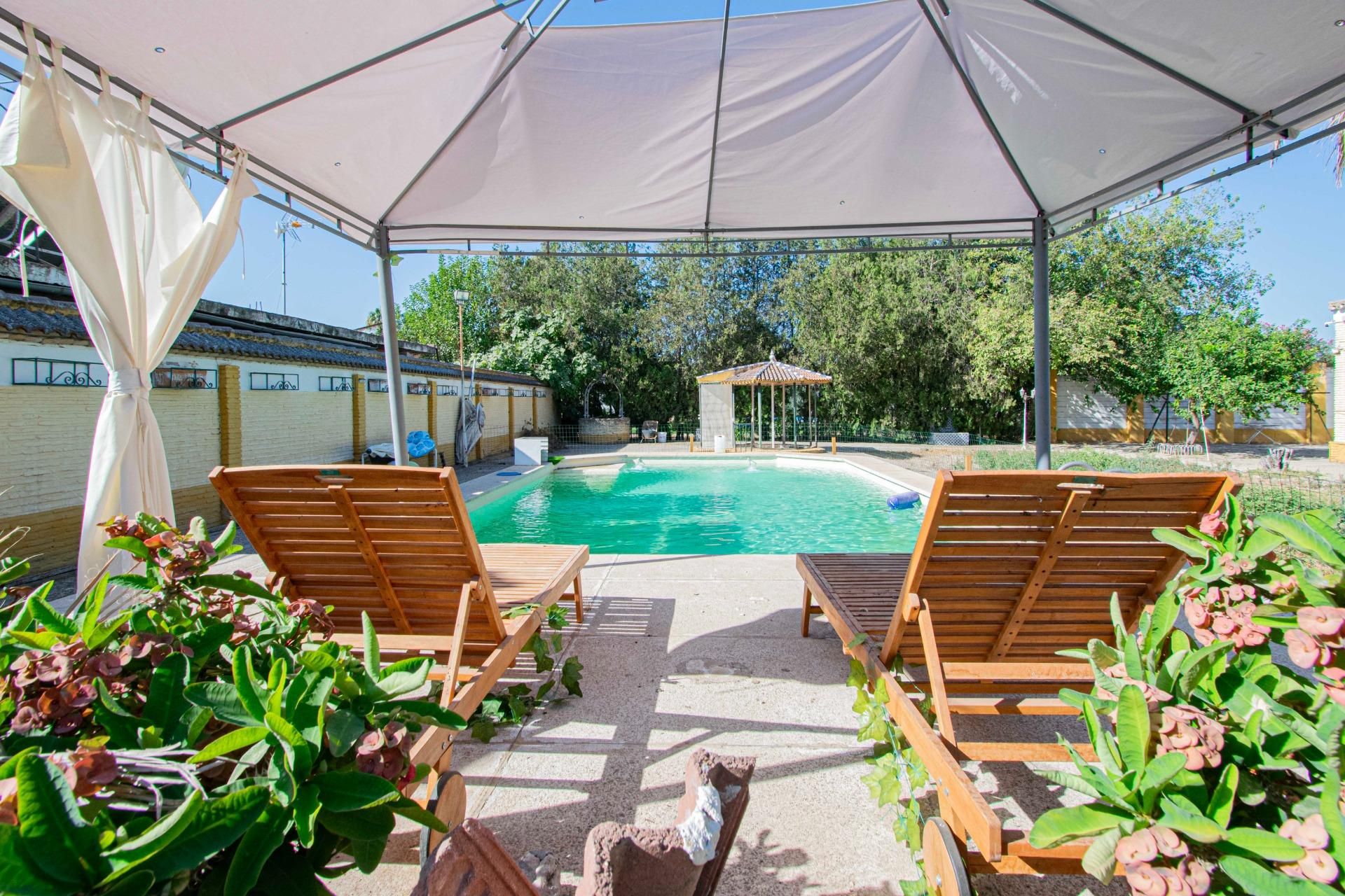 Piscina de Casa o xalet en venda en La Rinconada amb Jardí privat i Piscina