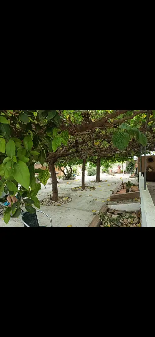 Terraza de Casa o chalet en venta en Tortosa con Calefacción, Jardín privado y Terraza