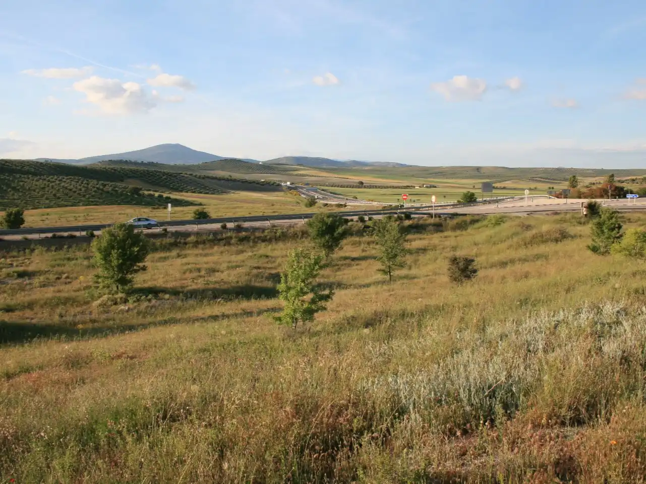 Exterior view of Industrial land for sale in Dehesas Viejas