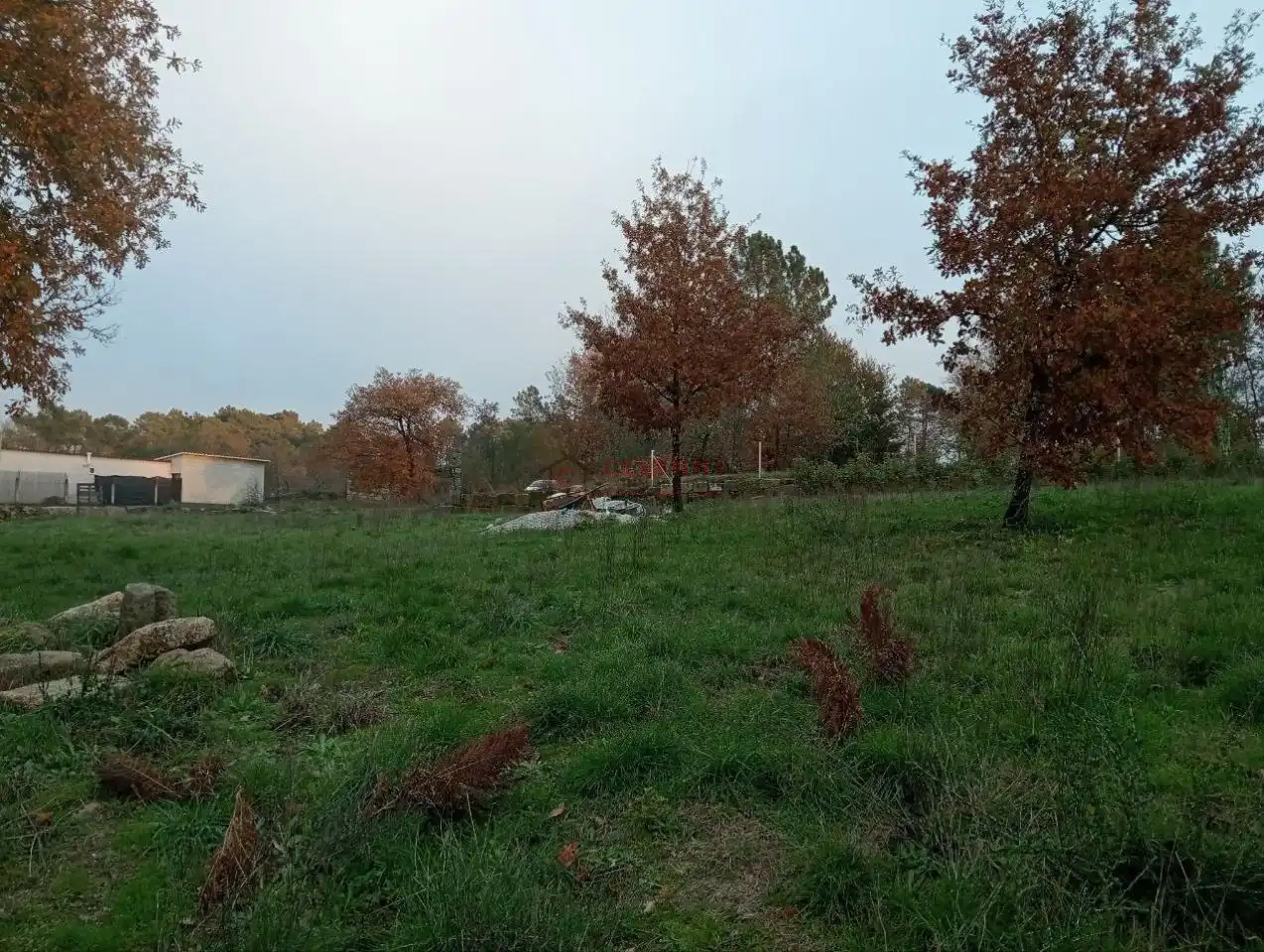 Terreny residencial en venda a San Cibrao das Viñas, imagen 11