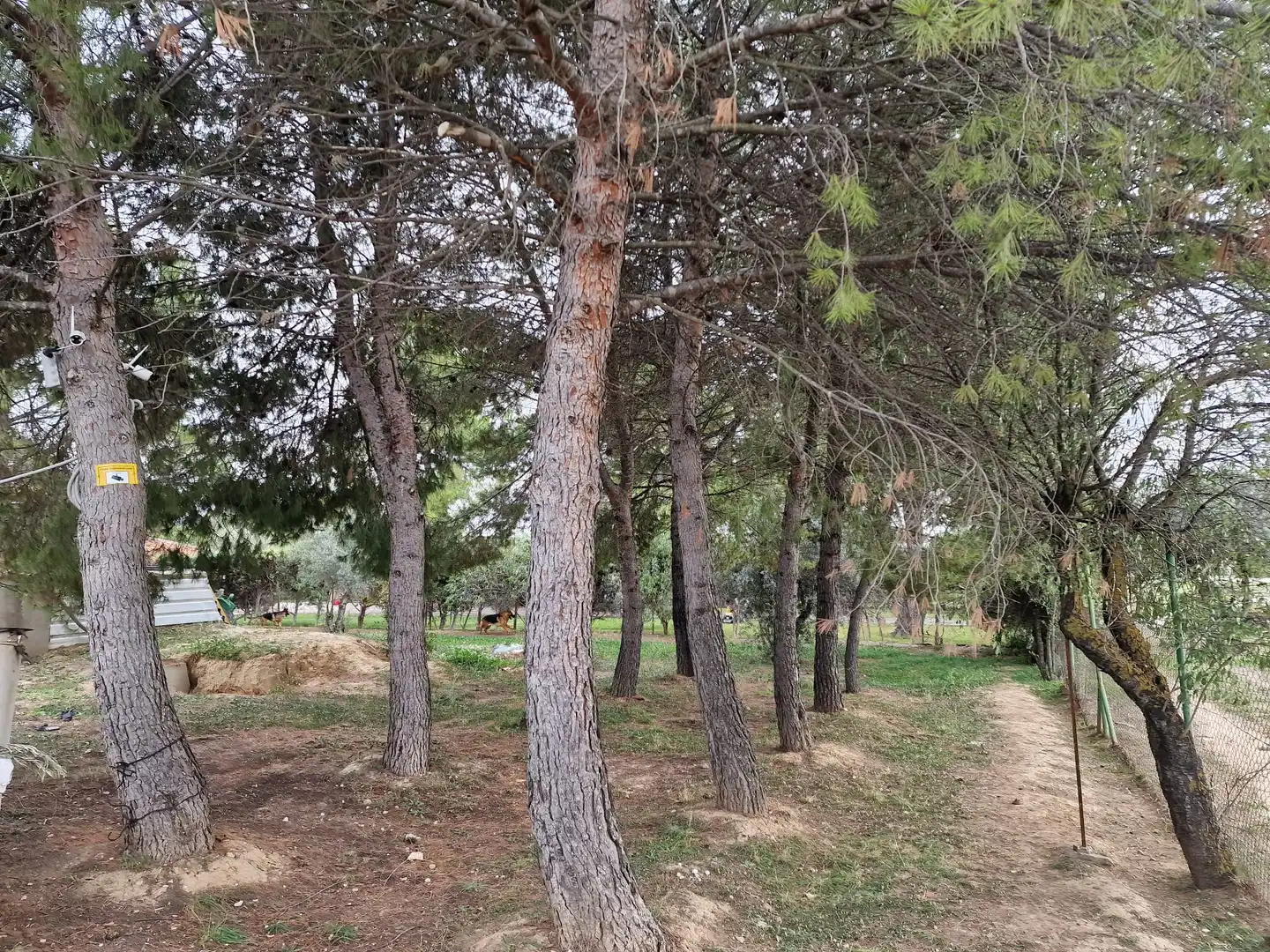 Casa rústica en venda a Calle Baja Azotea, imagen 16