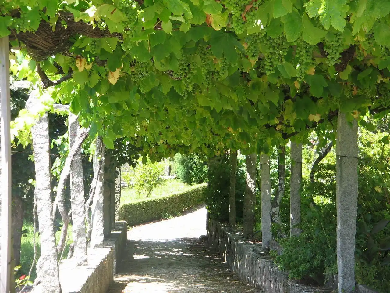Jardí de Casa o xalet en venda en Vigo  amb Calefacció, Jardí privat i Terrassa