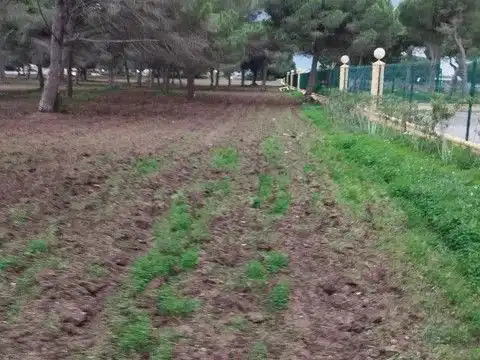 Terreni e lotti in vendita a carril del Pilahito 9, imagen 3