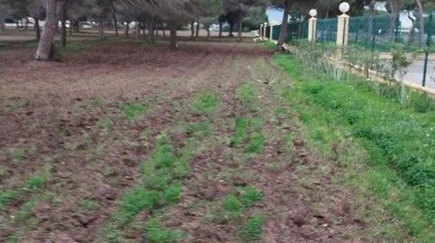 magnifica parcela proxima a playa cal del aceite frente camping , imatge 3