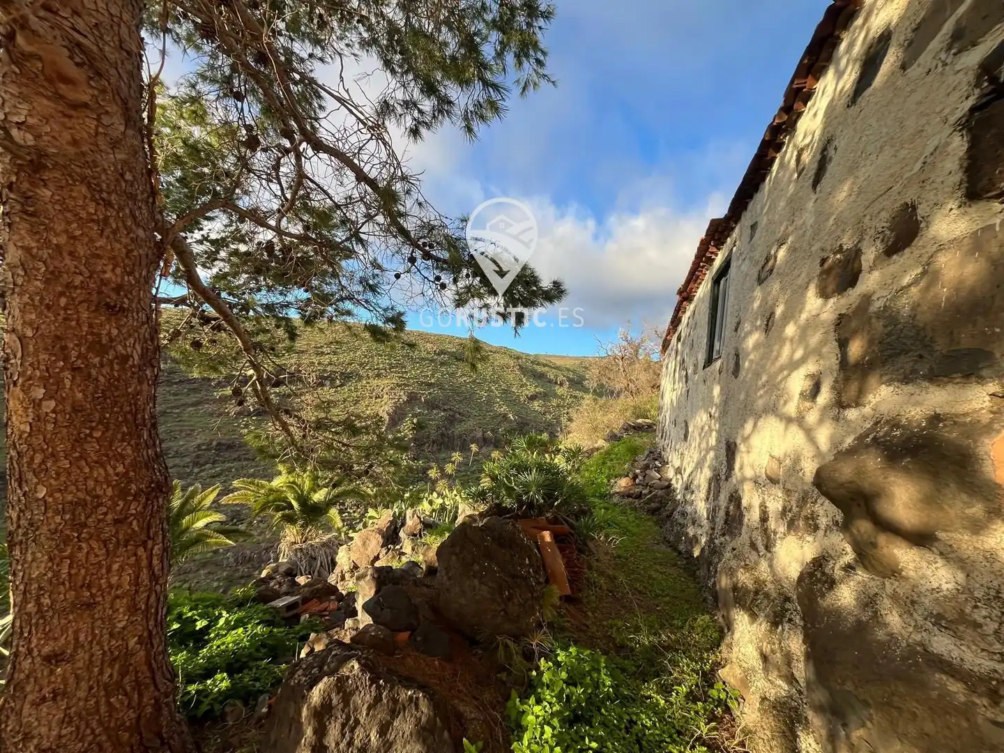 Vista exterior de Casa o chalet en venta en Vallehermoso