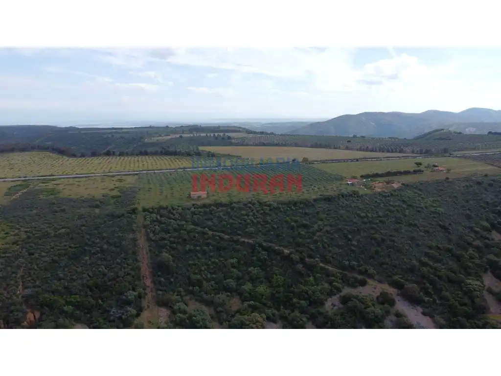 Country homes for sale in Castañar de Ibor