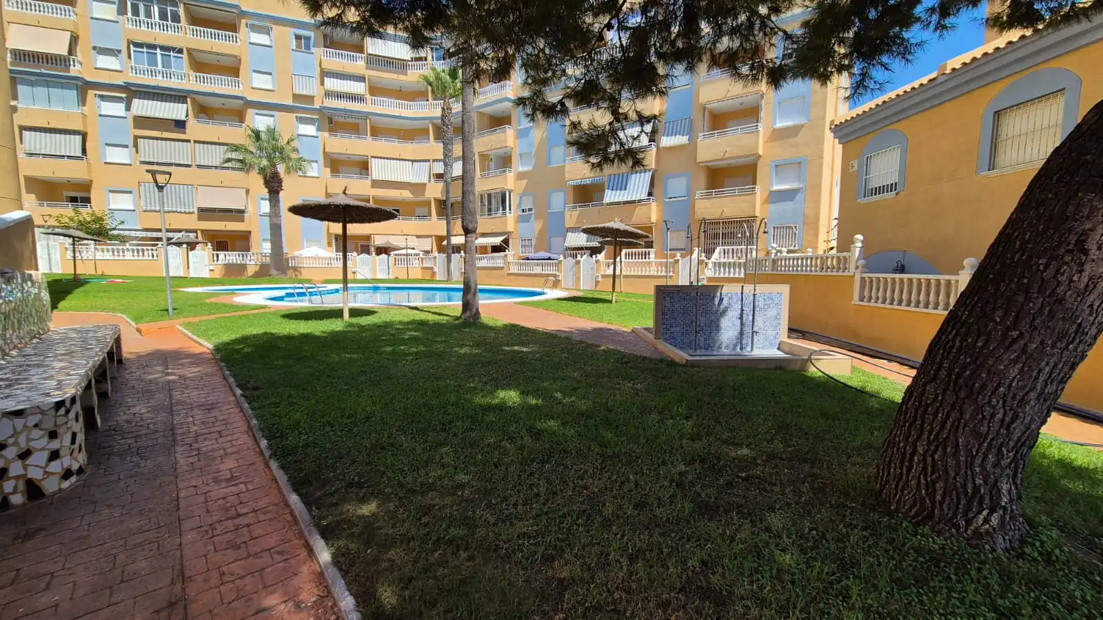 Swimming pool of Flat for sale in Elche / Elx  with Terrace
