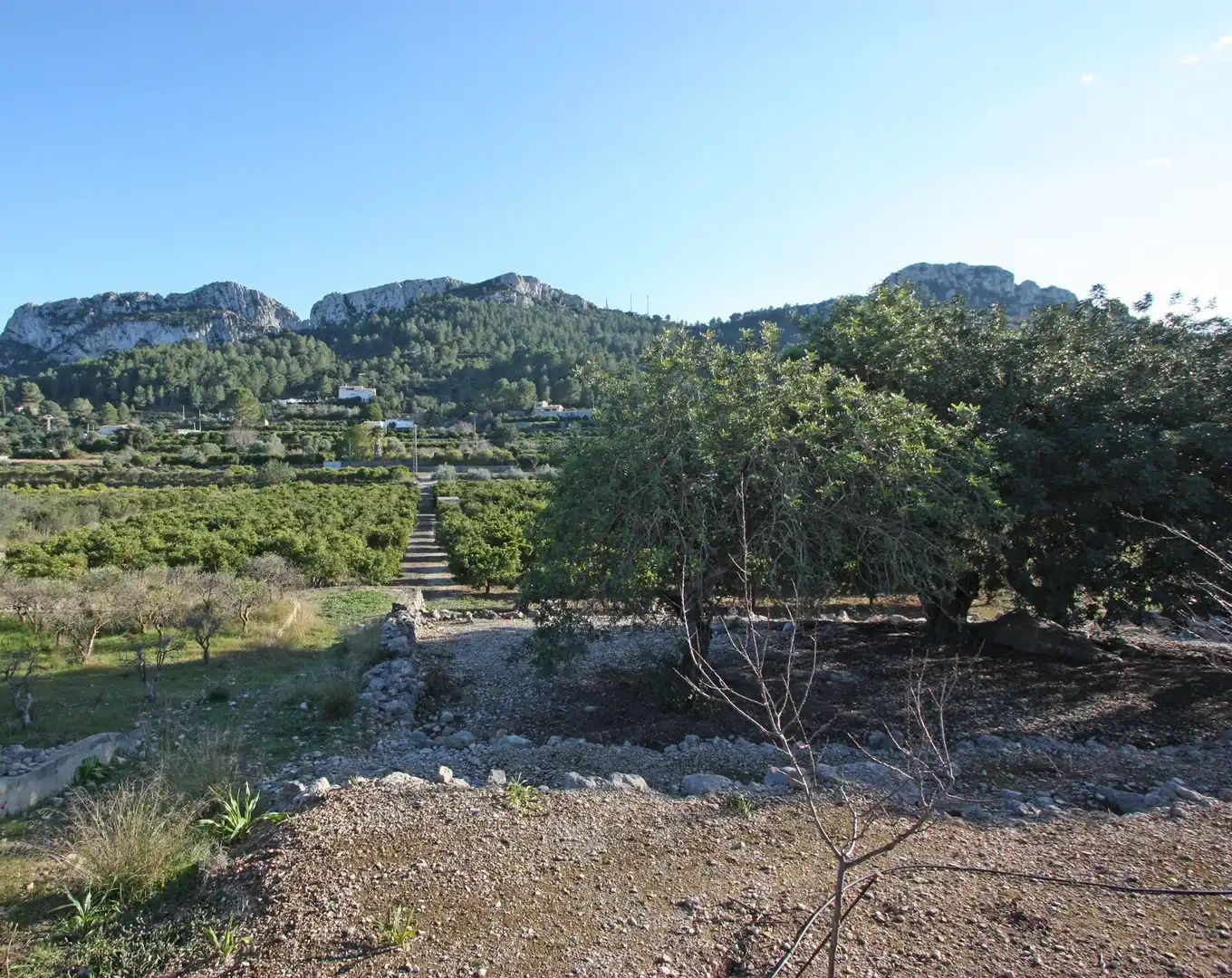 Lands and plots for sale in Benimeli, imagen 5