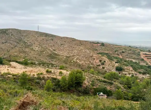 Terreny rústic en venda a Carlet, imagen 6