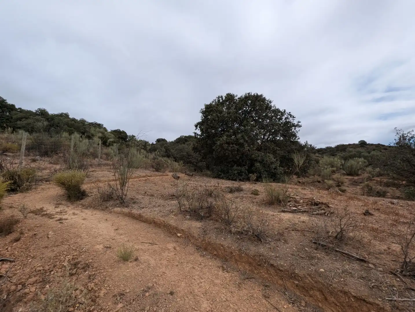 Casa o xalet en venda en Loja amb Calefacció, Jardí privat i Terrassa