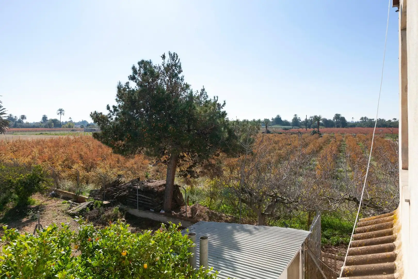 Casa o chalet en venta en Elche / Elx