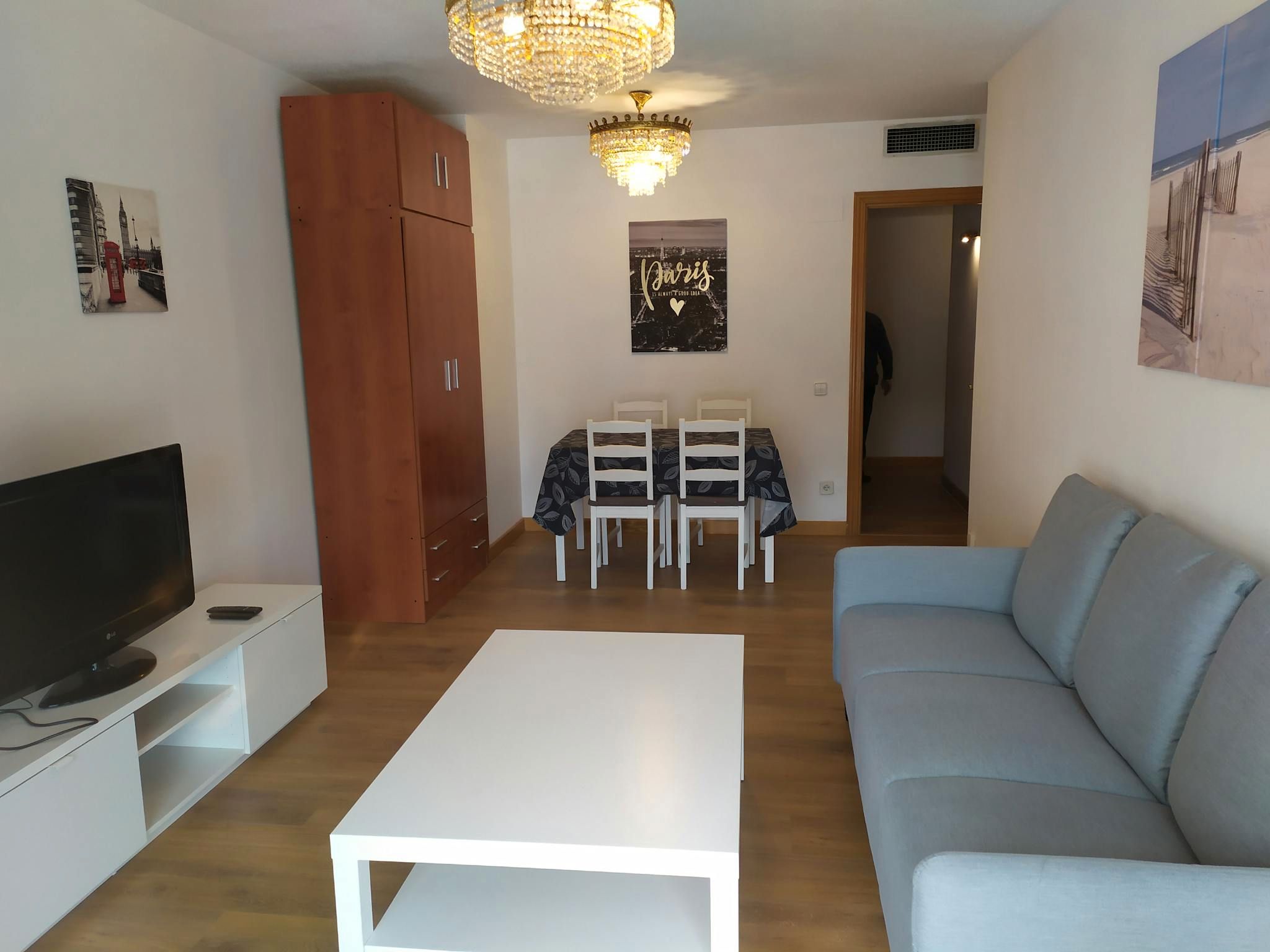 Living room of Flat to rent in  Madrid Capital  with Air Conditioner, Heating and Furnished