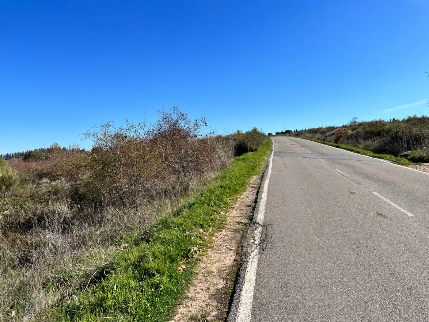 Finca rústica en venta en Ponferrada