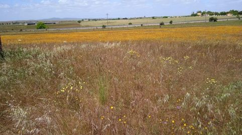 Foto 4 de Casa o chalet en venta en Valdesalor - Rincón de Ballesteros, Cáceres Capital