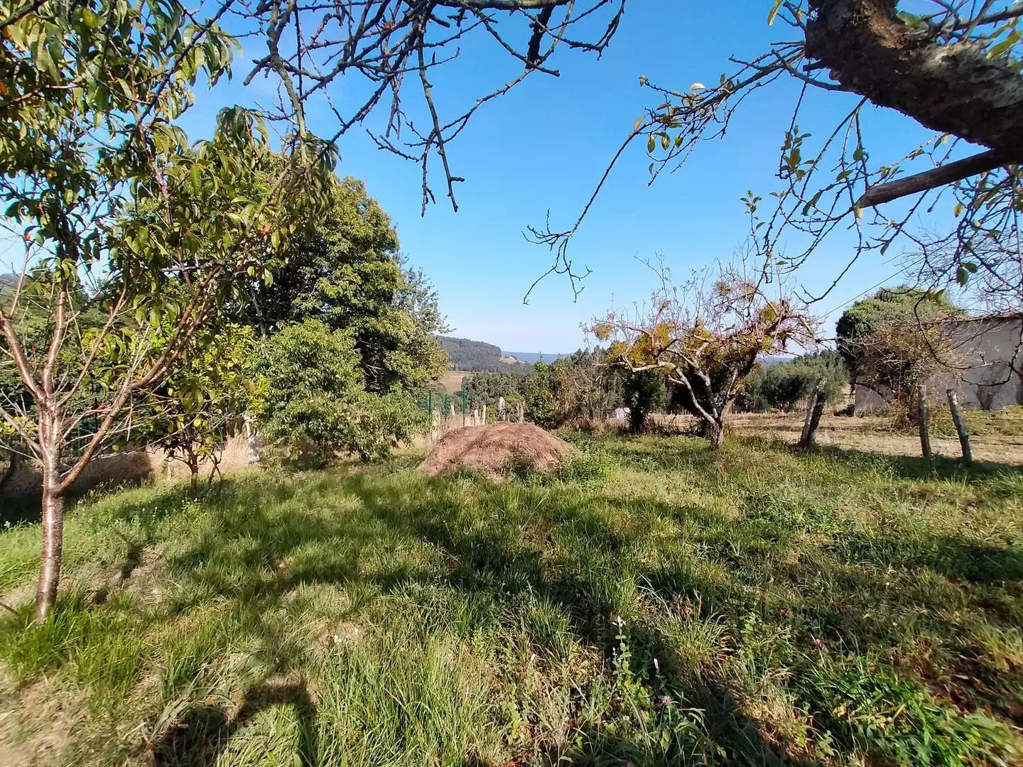 Casa rustica con giardino in vendita a Pravia, imagen 54