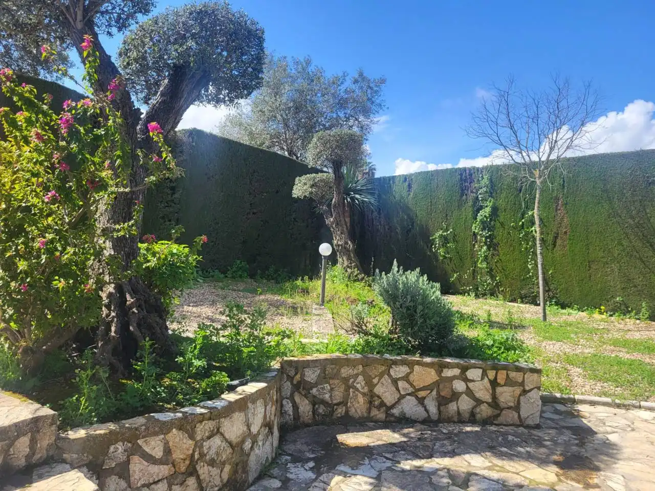 Casa o xalet en venda a Colegio Europa