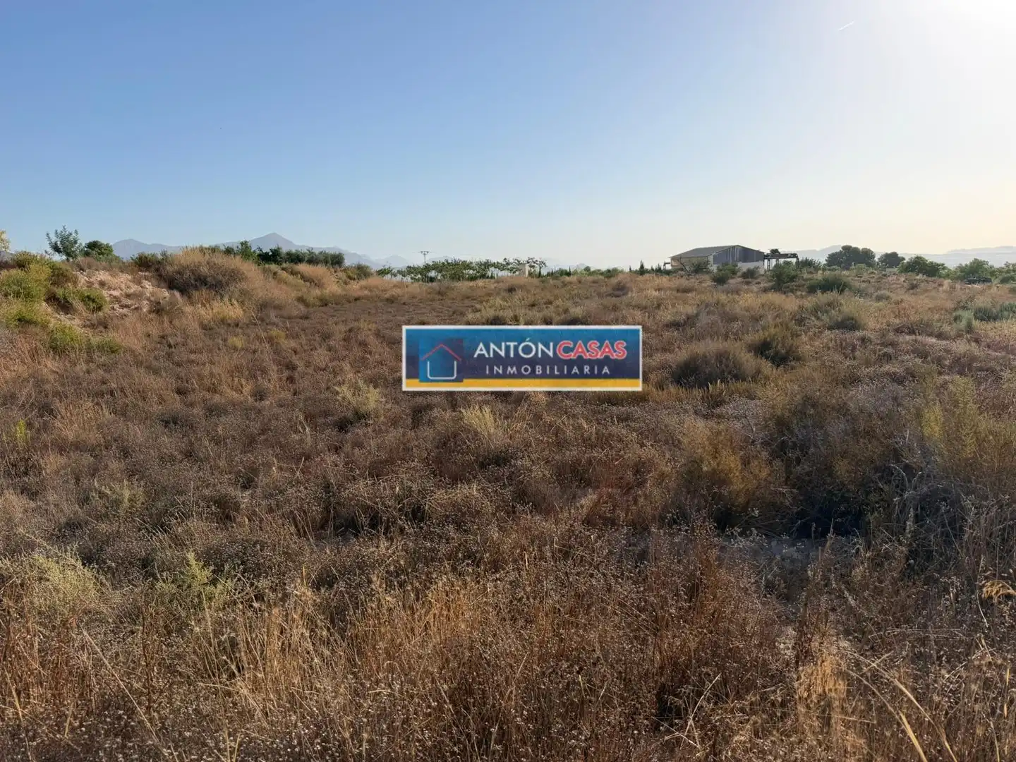 Rural land for sale in Novelda, imagen 3
