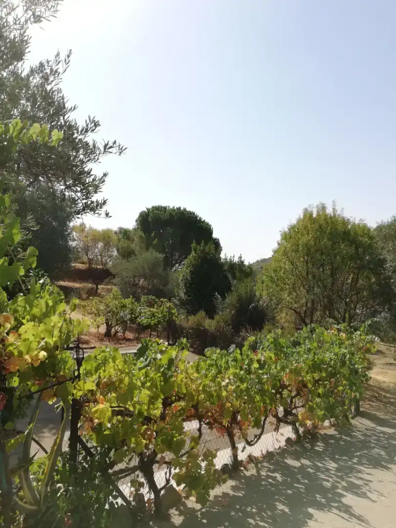 Finca rústica en venda en Plasencia amb Jardí privat, Traster i Piscina