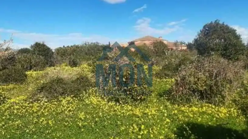 Residential land for sale in Pobla de Farnals, imagen 4