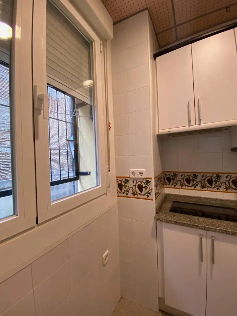 Estudio en alquiler en Centro, imagen 4