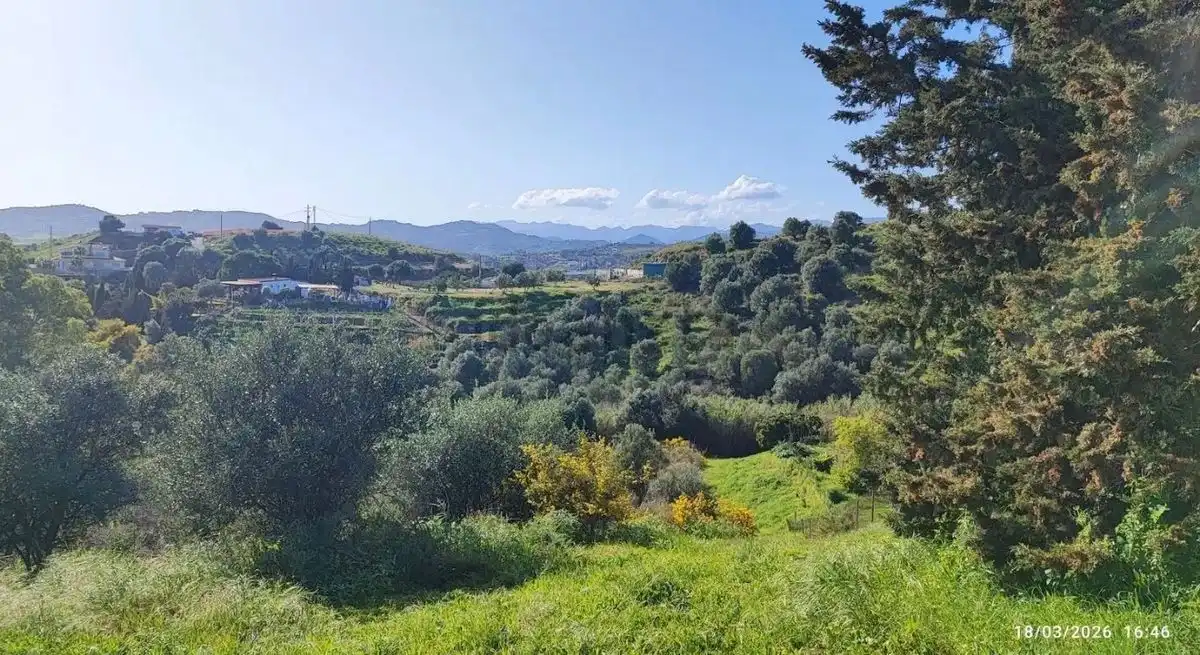 Terrain rustique à vendre à Diseminado la Rosa, imagen 3