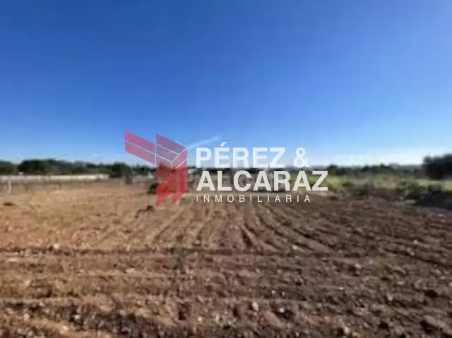 Terreno rústico en venta en Palma del Río