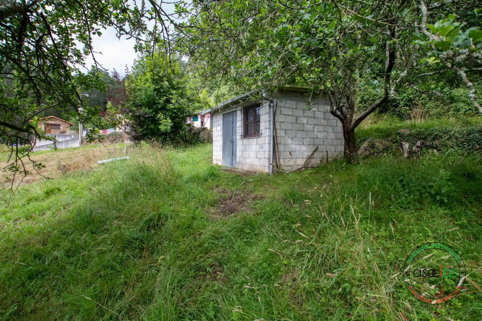 Casa o xalet en venda en Villaviciosa amb Jardí privat i Traster