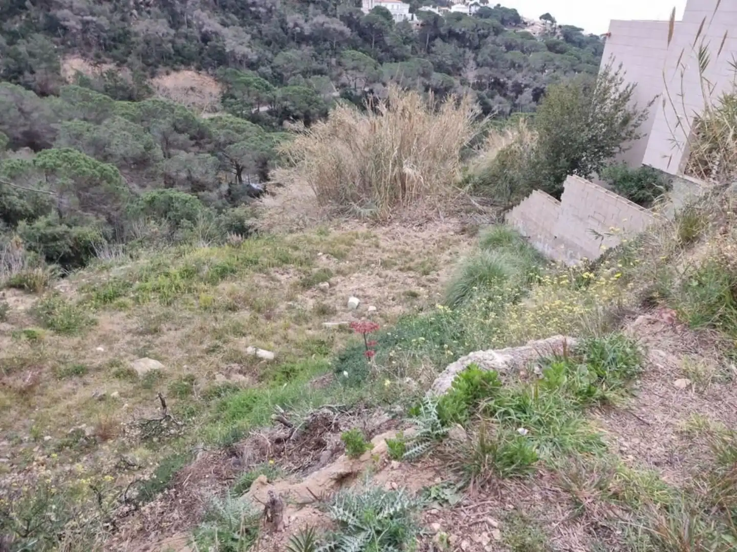 Terrenos y solares en venta en Serra Brava, imagen 13