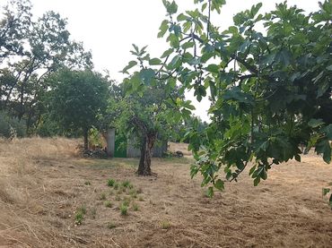 Terreno rustico in vendita a Villanueva de la Vera